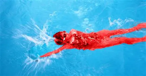 Как научить ребенка плавать на спине