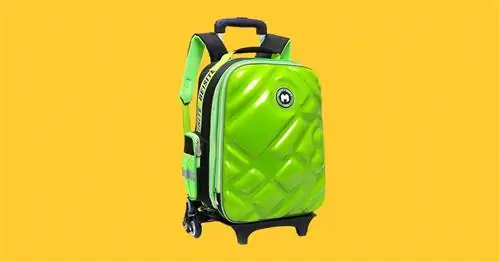 Лучшие рюкзаки на колесиках для возвращения в школу