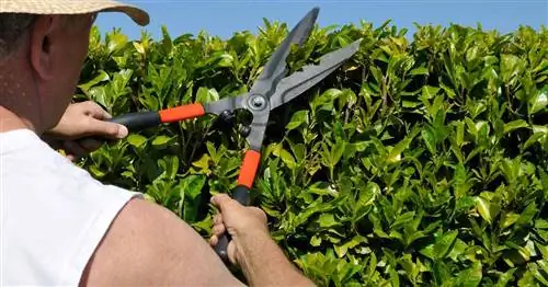 Ребята, перестаньте брить лобки. Это опасно