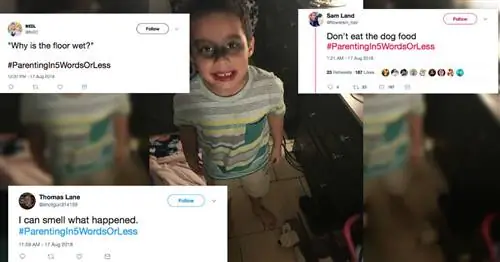 Twitter объясняет ParentingIn5WordsOrLess, и это весело