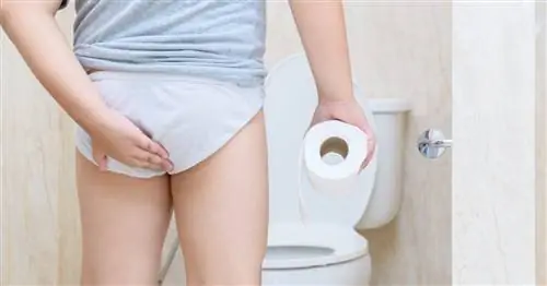 Доктор объясняет, почему маленькие дети ковыряются в своих задницах