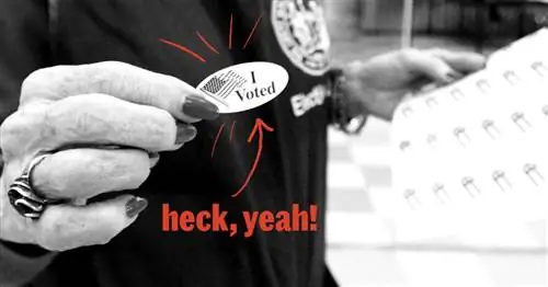 В день выборов все американцы могут согласиться в одном: стикеры «Я проголосовал» - это здорово