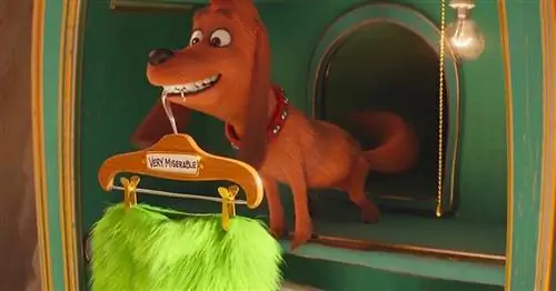 Лучшее изменение «Гринча» из книги - о собаке