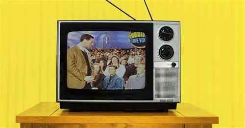 Самое смешное домашнее видео Америки по-прежнему остается лучшим семейным шоу на телевидении