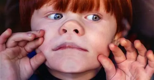 Как не волноваться о вехах развития, по словам семейного психолога