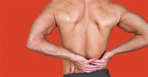 Что делать, если боль в пояснице замедляет работу