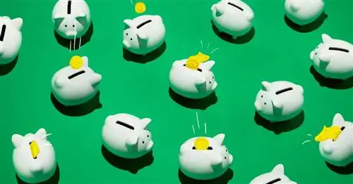 23 умных способа инвестировать свои деньги, независимо от того, как мало у вас есть