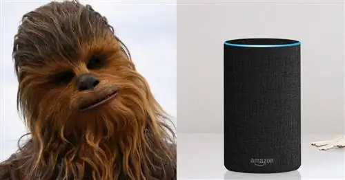 Отпразднуйте четвертое мая с помощью этих совершенно потрясающих хаков Alexa из «Звездных войн»