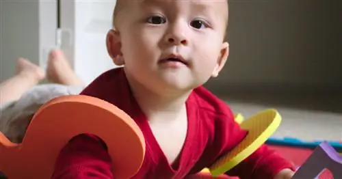 Как играть с месячным ребенком (издание Тарантино)