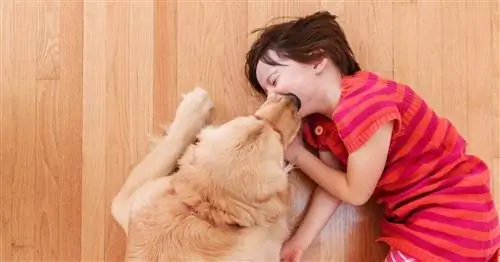 Собаки предотвращают аллергию и ожирение у детей своими полезными бактериями