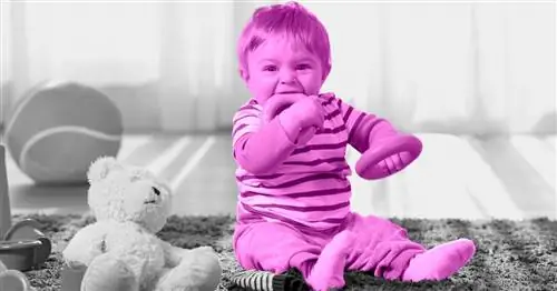 Как перестать кусаться малышом