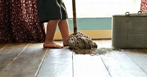 Наука выяснила, в каком возрасте лучше всего детям начинать заниматься домашними делами