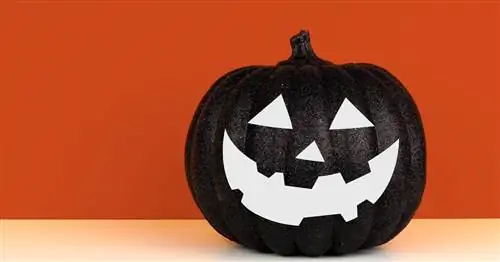 Кровать, ванна и не только сняли с полок тыквы Blackface