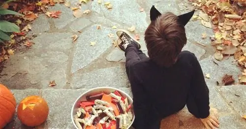 Долгая и странная история игры «Trick-or-Treating»