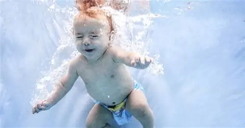 Все, что вам нужно знать об обучении вашего ребенка плаванию