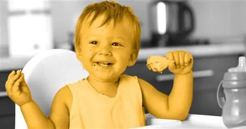 Как кормить малышей мясом