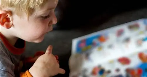 Каталог игрушек Amazon - это мечта, которую должен получить каждый ребенок