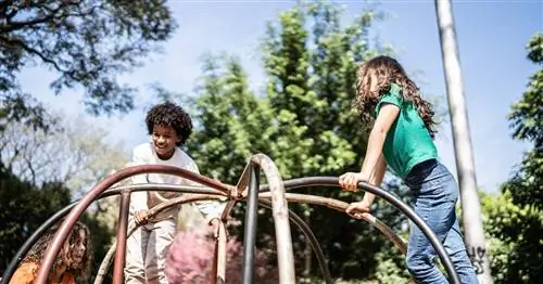 Щедрый вторник: 11 лучших благотворительных организаций, которым можно пожертвовать прямо сейчас