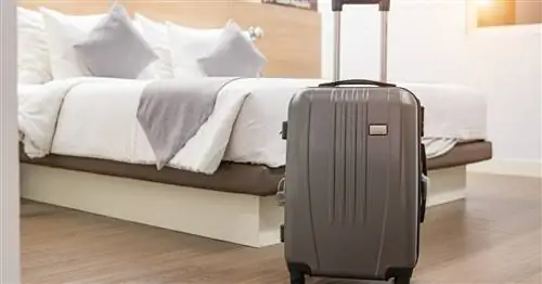 Папа в ярости в отеле за массовую оргию