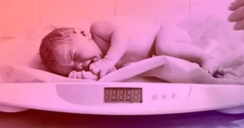 О чем на самом деле говорит вес ребенка при рождении