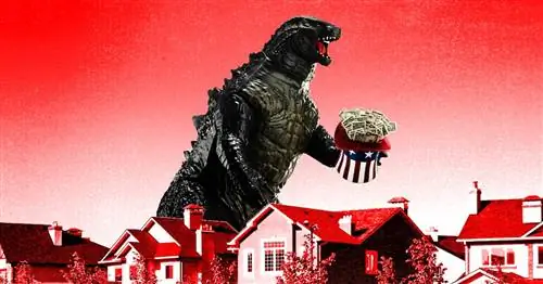 Американские семьи каждый день спасают крупный бизнес, вне зависимости от пакета стимулирующих мер