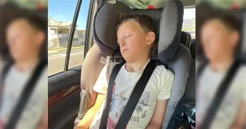 Вирусное фото напоминает родителям, что дети должны сидеть в автокреслах как можно дольше