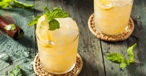 5 коктейлей с замороженным виски, которые стоит приготовить этим летом