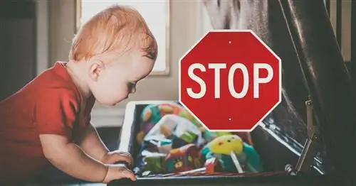 Младенцам и малышам не нужны игрушки