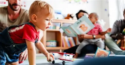 В начальных школах проводится больше программ Pre-K. Директора к этому не готовы