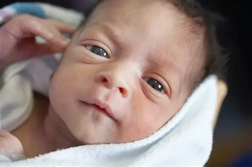 Крупный план лица новорожденного.