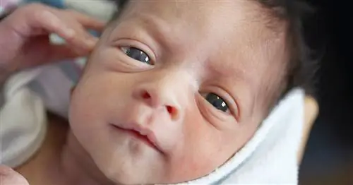 Мальчики и девочки выглядят по-разному?