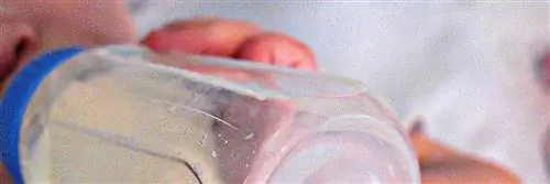 грудное вскармливание