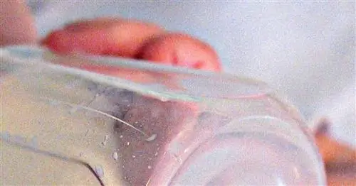 Исследование предполагает, что смесь может быть равна грудному молоку, когда дело доходит до развития мозга