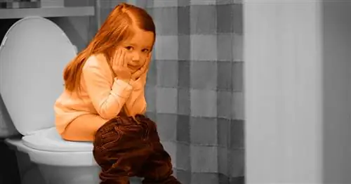 Важные советы по воспитанию девочек, приучающих их к горшку