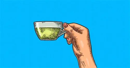 Рисунок руки, держащей чашку чая в воздухе.