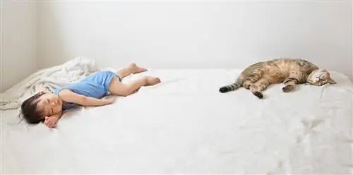 ребенок и котенок спят