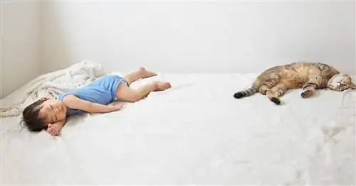 Основные советы по сну ребенка от экспертов центра сна Бостонской детской больницы