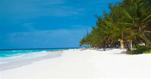 Барбадос хочет, чтобы вы работали удаленно с пляжа