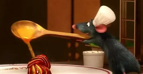 Кулинарный канал Pixar позволяет готовить еду из мультфильмов «Бао» и «Рататуй»