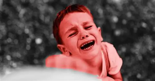 Как дисциплинировать своих детей без истерик (от них или от вас)