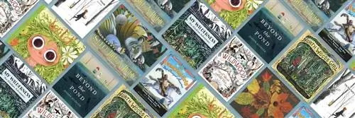 внешняя деятельность