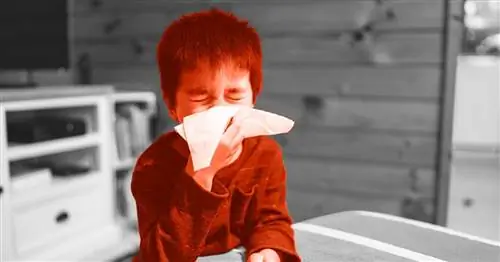 Как отличить аллергию от простуды