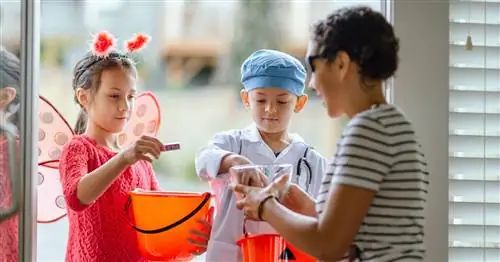 Странная, дикая экономика торговли конфетами на Хэллоуин