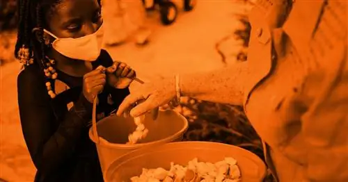 В этот Хэллоуин, пожалуйста, не забывайте о детях с пищевой аллергией