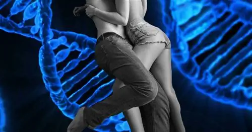 Измена передается по наследству? Возможно нет. обман это выбор