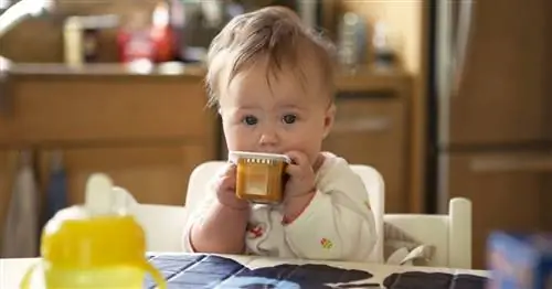 Как сделать собственное детское питание с нуля