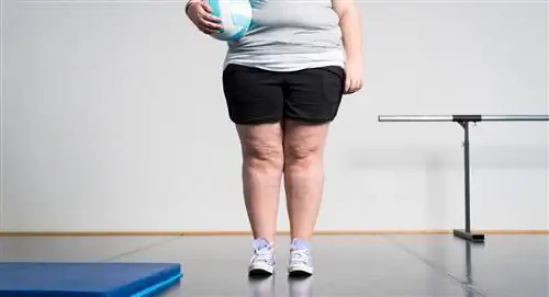 толстая девушка в спортзале