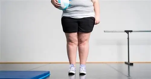 5 мифов о толстых детях