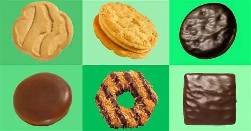 Не все штаты получают одну и ту же версию файлов cookie для девочек-скаутов. Вот что вы должны знать