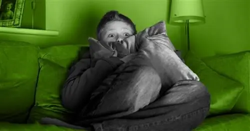 Как помочь ребенку, которого пугают фильмы